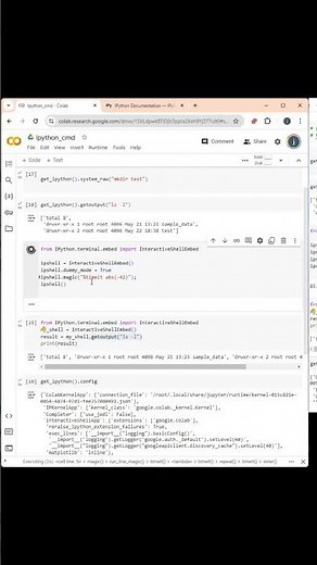 How to use the interactive Shell in your Google Collab Notebook
