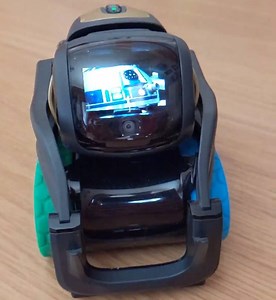 Show images and play sound with Vector Robot