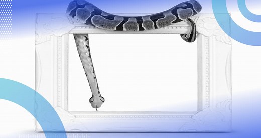 How to Define Empty Variables and Data Structures in Python | Built In