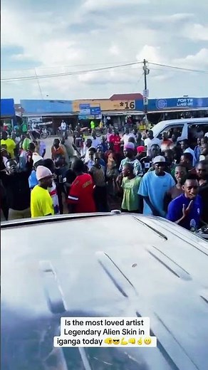 The Unbelievable Alien Skin That Transforms Your Car