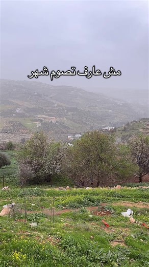 فيديوهات أنشأها ﮼سَيف،العَبَّادِي 📿 (@saef_305_) باستخدام الصوت الأصلي - يَ۶قۈ̜̌ب❣️