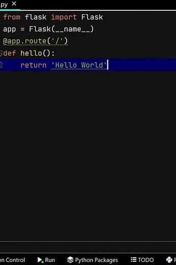 "Building a Simple Web Application with Flask: Hello, World!" in python