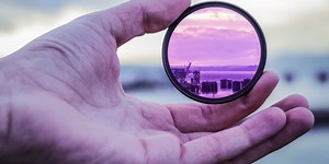 How to filter an Array of Objects in React?