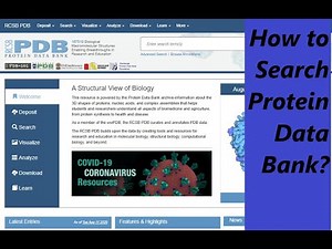 How to search Protein Data Bank (PDB) tutorial