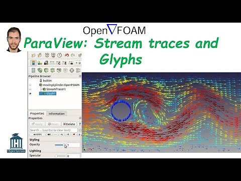ParaView: Stream traces and Glyphs