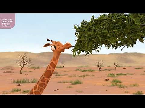 Computer Animation BA (Hons) | CG 3D Animation Course | University of South Wales | Cardiff Campus