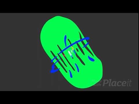 Guardar Proyecto de JAVA en NetBeans