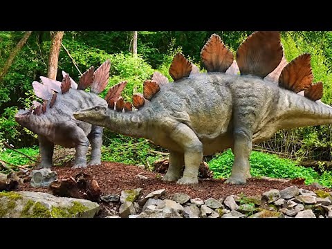 Strangest Fossils Ever Found!