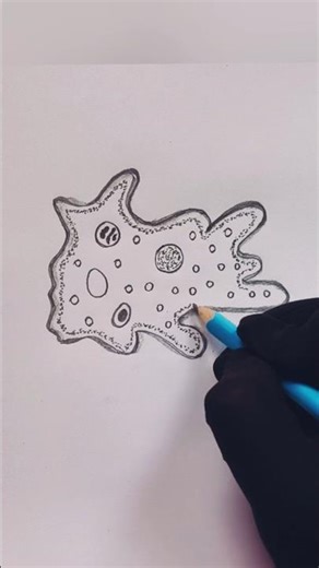 amoeba diagram Drawing#amoeba #drawing #short