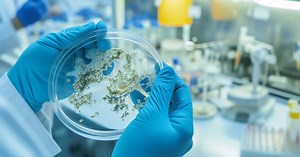 Chemical Engineering | College of Engineering