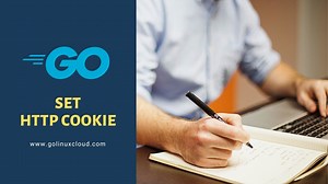 Setting HTTP Cookie in Golang [SOLVED] | GoLinuxCloud