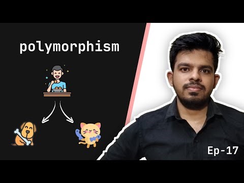 What is Polymorphism? Explained (Python)