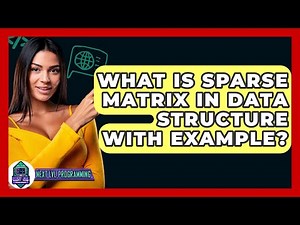 What Is Sparse Matrix In Data Structure With Example? - Next LVL Programming