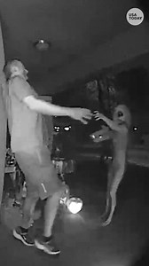 Ring's contest for alien footage produces out-of-this-world sightings