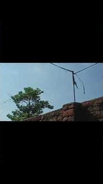 Day 20 | Solving Python Problems | 365 Days of Code