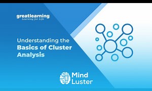 Mind Luster - Learn Understanding the Basics of Cluster Analysis Cluster Analysis Tutorial Introduction to Clustering