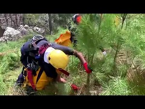 South Africa’s ‘alien’ trees threaten water supply