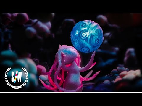O Black Hole! | Award-Winning Stop-Motion Animation