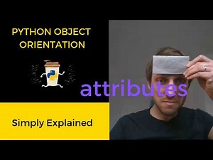 Python Class vs Instance Attributes [Simply Explained]