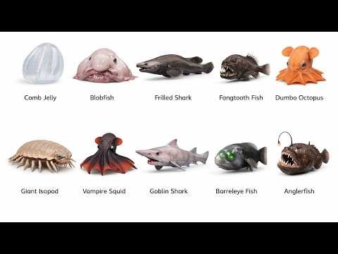 10 Deep Sea Animals That Look Like Aliens 👽 (Real Creatures From the Abyss)