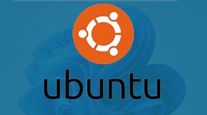 Completely Remove Windows 11 and Install Ubuntu - AvoidErrors