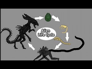 Alien(Xenomorph) Life Cycle | AUTO RPG Anything