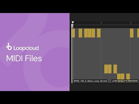 MIDI Files | Loopcloud 101