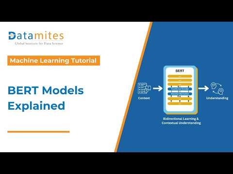 Exploring BERT Versions Complete NLP Model Guide | Datamites