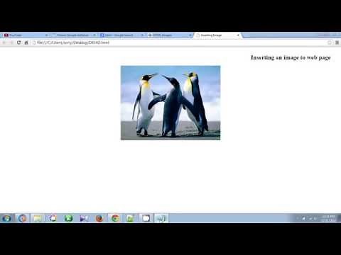 How To Insert Image in HTML Web Page Using Notepad Tutorial 2