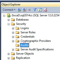 Reviewing the SQL Server Audit