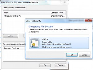 How to open an Encrypted File if Access Is Denied in Windows 11/10