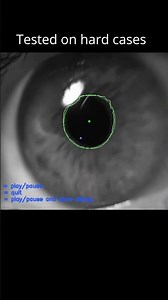 A Lightweight Pupil Tracker in Python