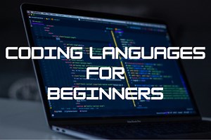 Which Coding Language Should Beginners Learn First?
