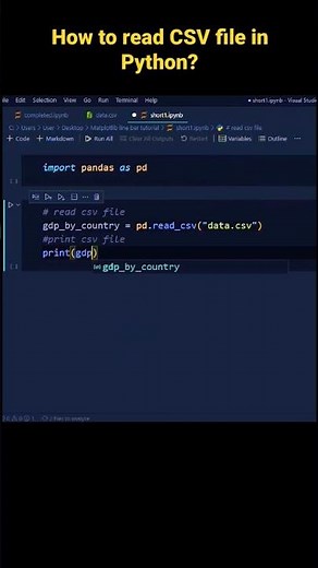 How to read a CSV file in Python ? Open CSV file in Jupyter Notebook