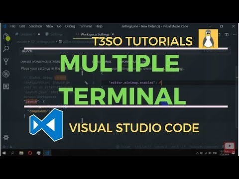 How to add multiple terminal in Visual Studio Code
