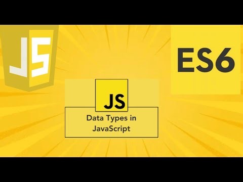 JavaScript Basics: Primitive & Reference Data Types