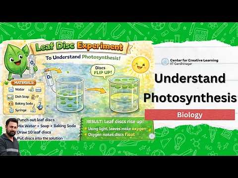 Leaf Disc Experiment to Understand Photosynthesis | Center for Creative Learning IIT Gandhinagar