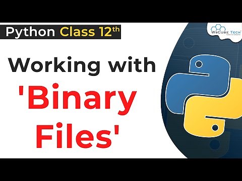 Working with Binary Files in Python Class 12 | Python Binary Files | Python for Class 12