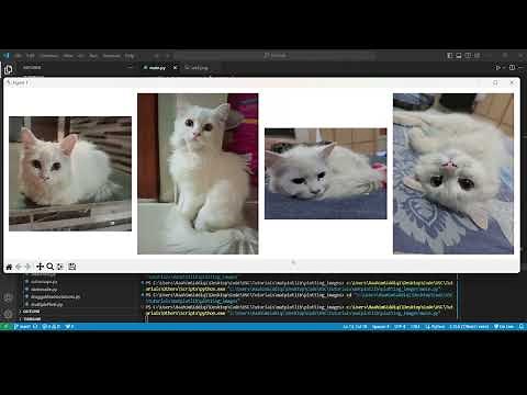 Matplotlib: Plotting Single & Multiple Images Made Easy!