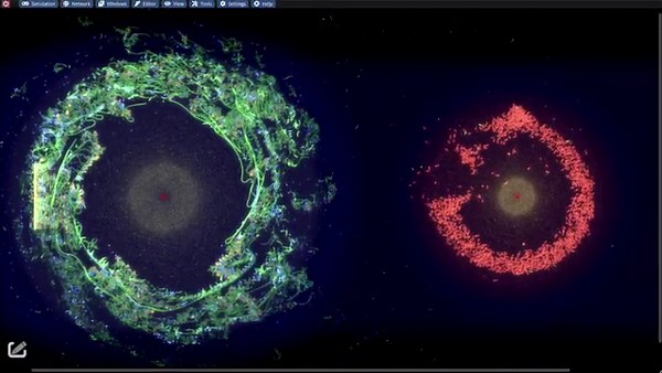ALIEN, an artificial life simulation tool, on AMD GPUs via SCALE