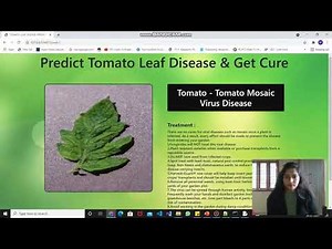 Plant Leaf Disease Prediction using Deep learning