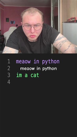 Exploring 'Meaow' in Python Programming