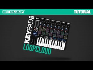 Reloop Keypad Pro - Loopcloud - Compact DAW Workstation with Wireless MIDI - Tutorial