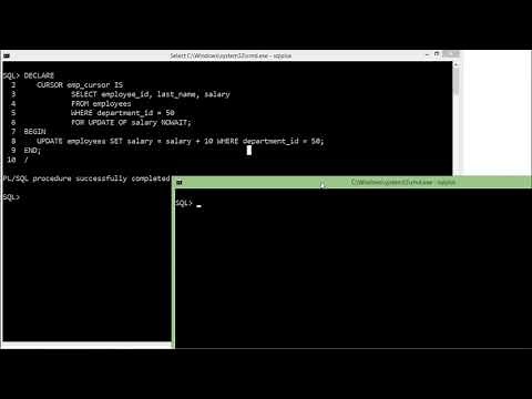 Oracle - PL/SQL - Advanced Cursors