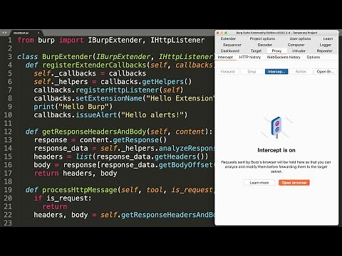 Write a Custom Burp Suite Extension in Python