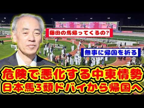 [Horse Racing Reactions] Three Japanese horses and their connections return home due to concerns ...