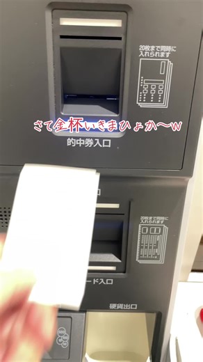 How to Use a Japanese Ticket Vending Machine