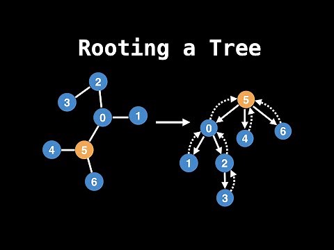 Rooting a tree | Graph Theory