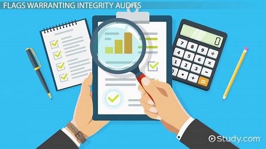 Integrity Audits: Definition & Example