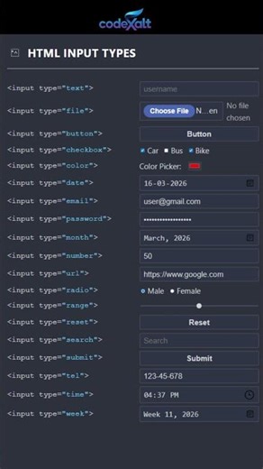 HTML Input Types Cheat Sheet for Developers 💻 #shorts #viral #coding #programming